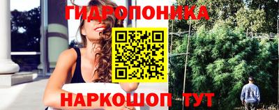 MDMA Новозыбков
