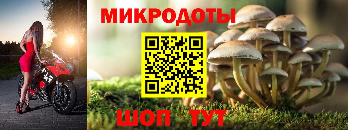 Псилоцибиновые грибы ЛСД Солнечногорск