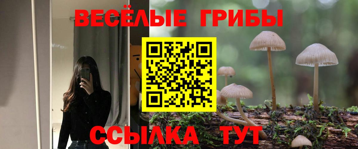 Псилоцибиновые грибы Cubensis  Галлюциногенные грибы Magic Shrooms  Вход с VPN  Солнечногорск 